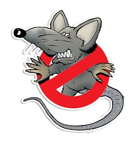 Rodent-Control--in-Hillsboro-Oregon-Rodent-Control-40327-image